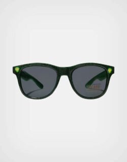 Lentes de Sol Paw Patrol Dino Color Verde con Estuche Para Niños